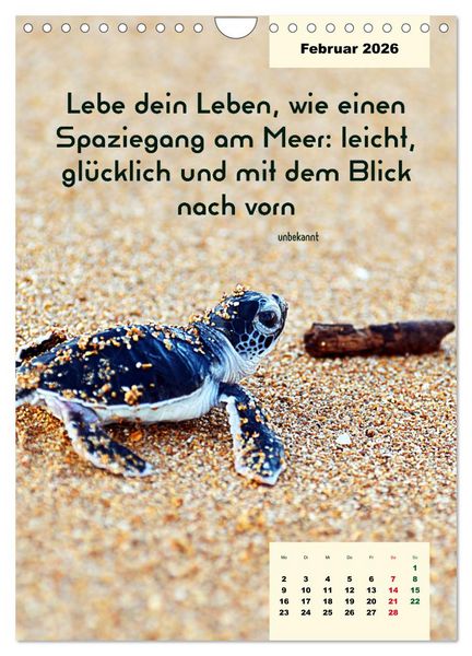 Produktbild: Verr&uuml;ckt nach MEER - Wellen - Strand - Zitate (Wandkalender 2026 DIN A4 hoch), CALVENDO Monatskalender