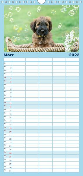 Produktbild: Briardbabys in ihren ersten Wochen - Familienplaner hoch (Wandkalender 2022 , 21 cm x 45 cm, hoch)