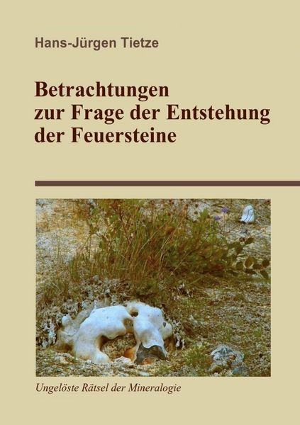 Produktbild: Betrachtungen zur Frage der Entstehung der Feuersteine