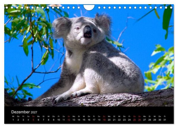 Produktbild: Australien (Wandkalender 2027 DIN A4 quer), CALVENDO Monatskalender