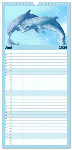 Produktbild: Familienplaner 2026 - Delfine - Kalender mit 5 Spalten (Wandkalender, 21 x 45 cm) CALVENDO