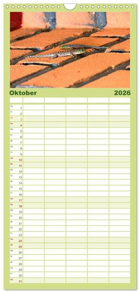 Produktbild: Familienplaner 2026 - Tiere Madagaskars mit 5 Spalten (Wandkalender, 21 x 45 cm) CALVENDO