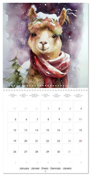 Produktbild: Alpagas du c&oelig;ur (Calendrier mural carr&eacute; 2026 30x30 cm) Calendrier double avec une page pour vos prises de notes