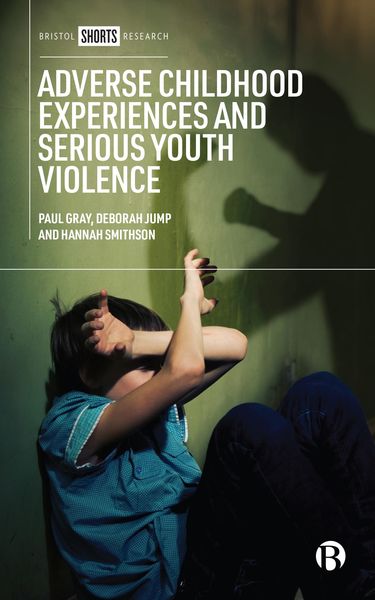 Produktbild: Adverse Childhood Experiences and Serious Youth Violence