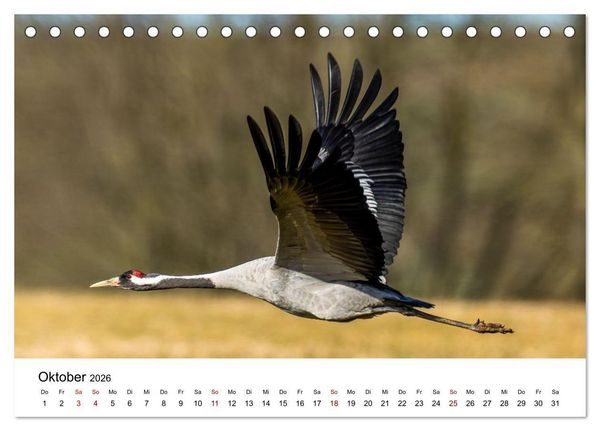 Produktbild: Kraniche im Erzgebirge (Tischkalender 2026 DIN A5 quer), CALVENDO Monatskalender