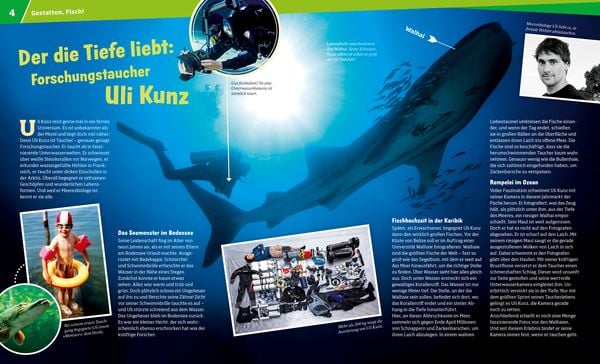 Produktbild: WAS IST WAS Band 41 Fische. Wunderwelt im Wasser