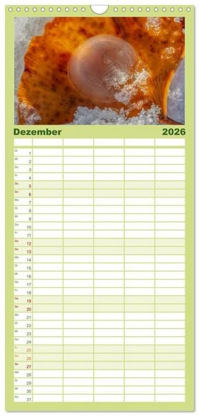 Produktbild: Familienplaner 2026 - Mit Ginkgo biloba durch das Jahr mit 5 Spalten (Wandkalender, 21 x 45 cm) CALVENDO