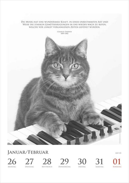 Produktbild: Der poetische Katzenkalender im Format 21 x 29,7
