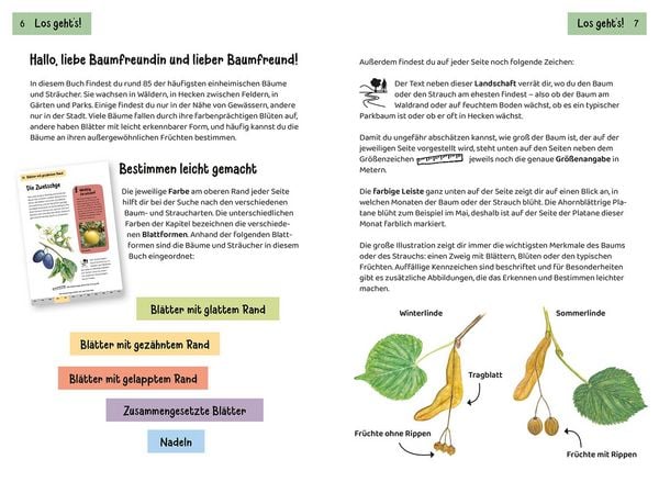 Produktbild: Welcher Baum ist das? Kindernaturf&uuml;hrer