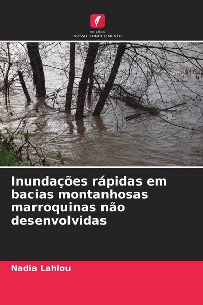 Produktbild: Inunda&ccedil;&otilde;es r&aacute;pidas em bacias montanhosas marroquinas n&atilde;o desenvolvidas