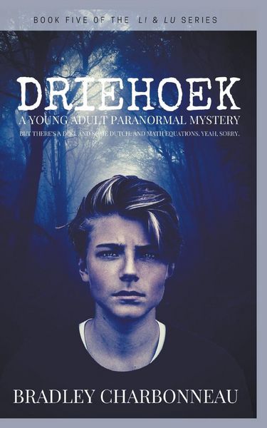 Produktbild: Driehoek
