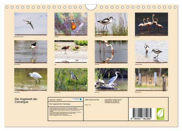 Produktbild: Die Vogelwelt der Camargue (Wandkalender 2026 DIN A4 quer), CALVENDO Monatskalender