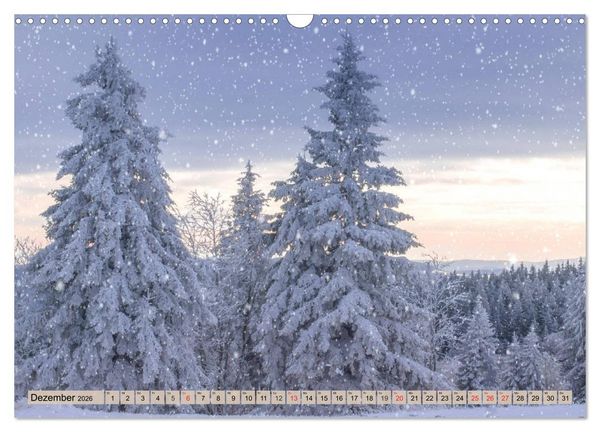 Produktbild: Leise durch den Wald. Sich Zeit nehmen und der Stille lauschen (Wandkalender 2026 DIN A3 quer), CALVENDO Monatskalender