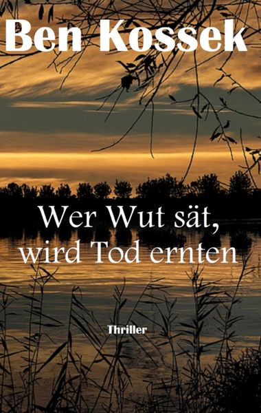 Produktbild: Wer Wut s&auml;t, wird Tod ernten