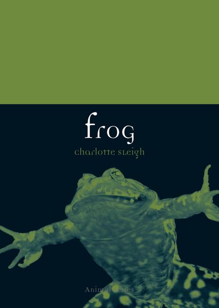 Produktbild: Frog