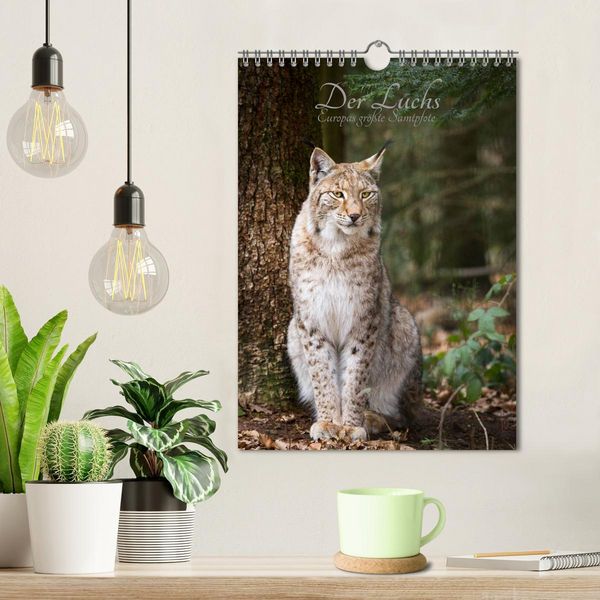 Produktbild: Der Luchs - Europas gr&ouml;&szlig;te Samtpfote (Wandkalender 2026 DIN A4 hoch), CALVENDO Monatskalender