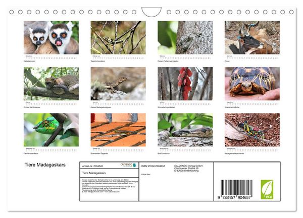 Produktbild: Tiere Madagaskars (Wandkalender 2026 DIN A4 quer), CALVENDO Monatskalender