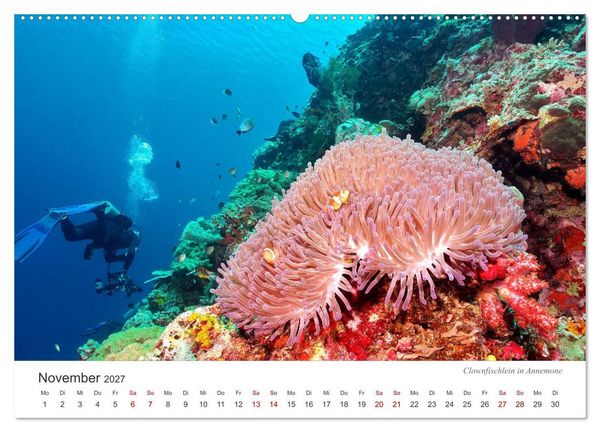 Produktbild: Unterwasser - eine bunte Welt (hochwertiger Premium Wandkalender 2027 DIN A2 quer), Kunstdruck in Hochglanz