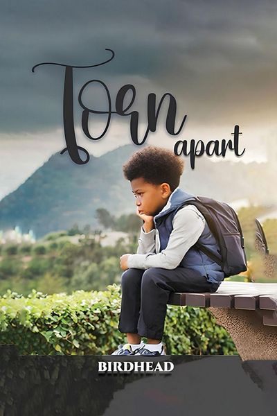 Produktbild: Torn Apart