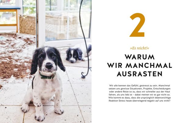 Produktbild: Hunde erziehen ohne Schimpfen