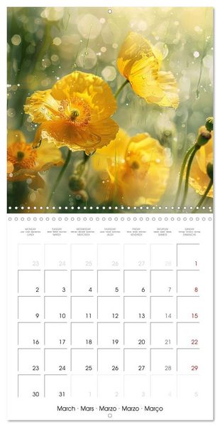 Produktbild: Magical Poppies (Wall Calendar 2026 12 &times; 12 Inch) CALVENDO 12 Month Wall Calendar