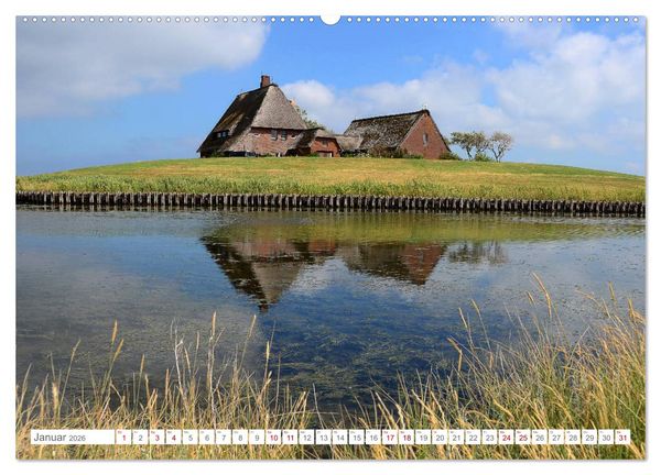 Produktbild: Sommertage auf Hallig Hooge (Wandkalender 2026 DIN A2 quer), CALVENDO Monatskalender