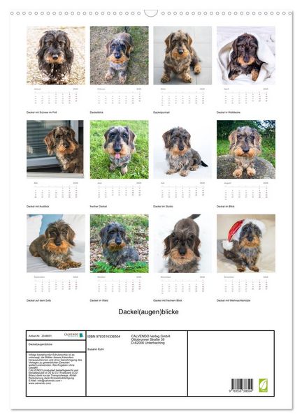 Produktbild: Dackel(augen)blicke (Wandkalender 2026 DIN A2 hoch), CALVENDO Monatskalender