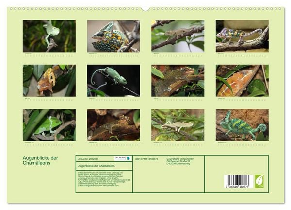 Produktbild: Augenblicke der Cham&auml;leons (hochwertiger Premium Wandkalender 2026 DIN A2 quer), Kunstdruck in Hochglanz