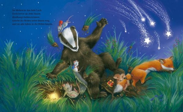 Produktbild: Der kleine Igel und die Sternschnuppen