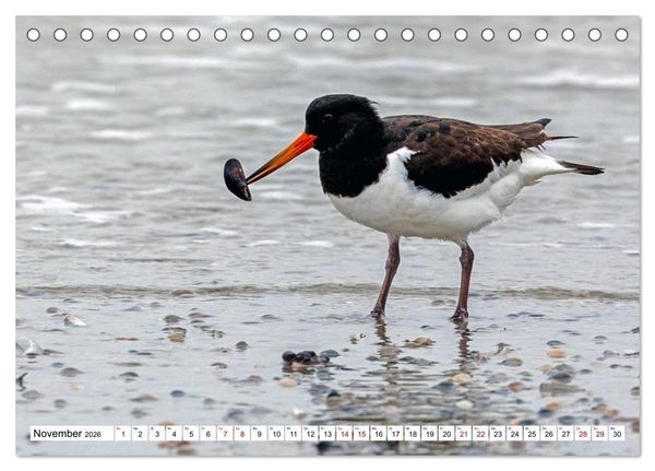Produktbild: Wintertage auf Norderney (Tischkalender 2026 DIN A5 quer), CALVENDO Monatskalender