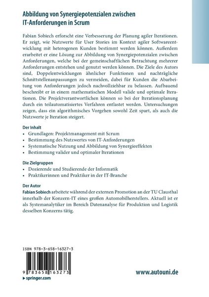 Produktbild: Abbildung von Synergiepotenzialen zwischen IT-Anforderungen in Scrum