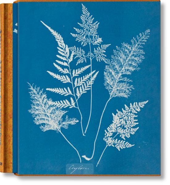 Produktbild: Anna Atkins