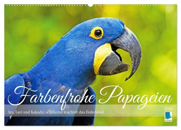 Produktbild: Farbenfrohe Papageien (Wandkalender 2026 DIN A2 quer), CALVENDO Monatskalender