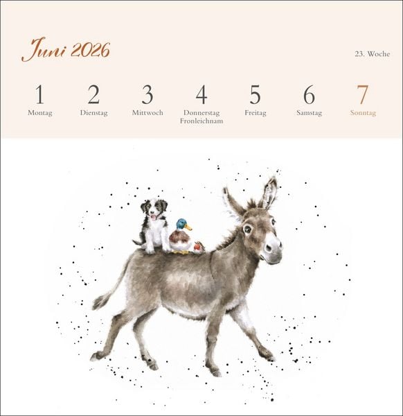 Produktbild: Hannah Dale: Happy Animals Premium-Postkartenkalender 2026