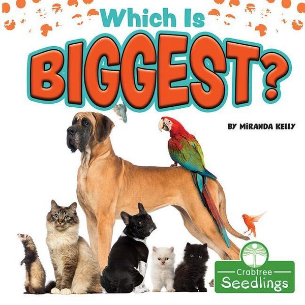 Produktbild: Which Is Biggest?