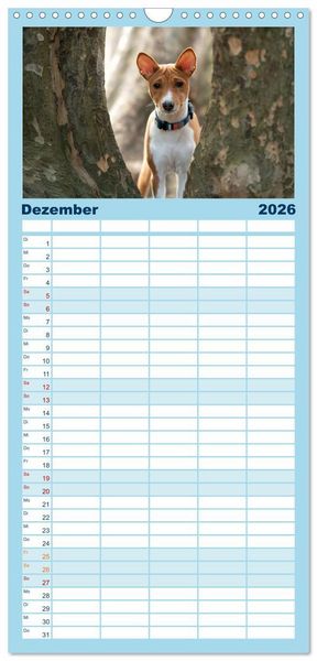 Produktbild: Familienplaner 2026 - Basenji-Sch&ouml;nheiten mit 5 Spalten (Wandkalender, 21 x 45 cm) CALVENDO
