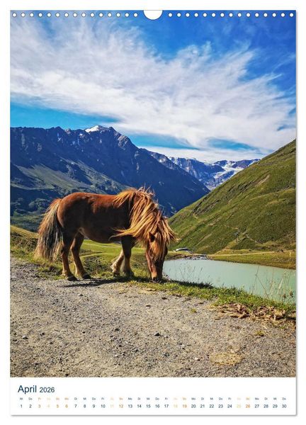 Produktbild: Sommer in &Ouml;sterreich - sonnige Tage in den Bergen (Wandkalender 2026 DIN A3 hoch), CALVENDO Monatskalender