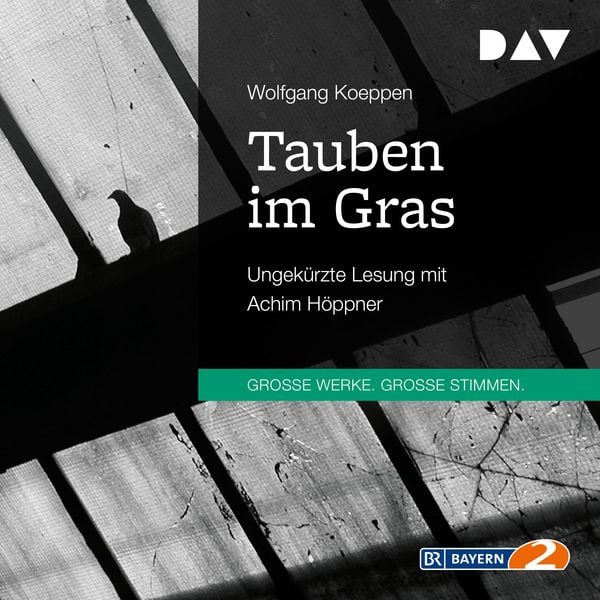 Produktbild: Tauben im Gras