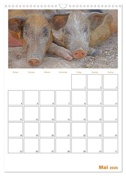 Produktbild: Gambia und Senegal erleben (Wandkalender 2026 DIN A3 hoch), CALVENDO Monatskalender