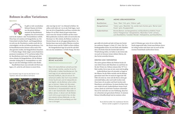 Produktbild: 12 Monate Gem&uuml;se ernten