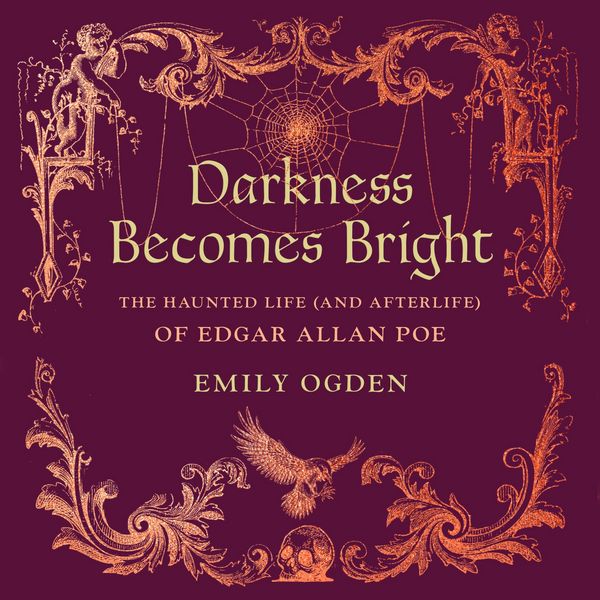Produktbild: Darkness Becomes Bright