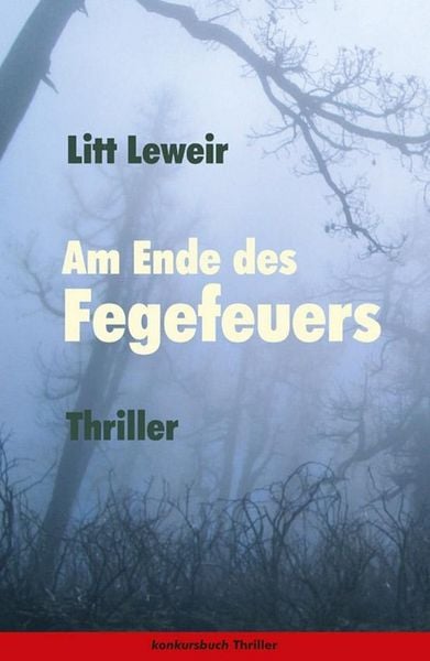 Produktbild: Am Ende des Fegefeuers. Thriller