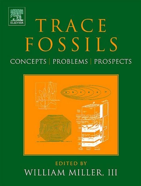 Produktbild: Trace Fossils