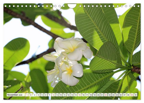 Produktbild: Hawaii the Aloha State (Wandkalender 2026 DIN A4 quer), CALVENDO Monatskalender