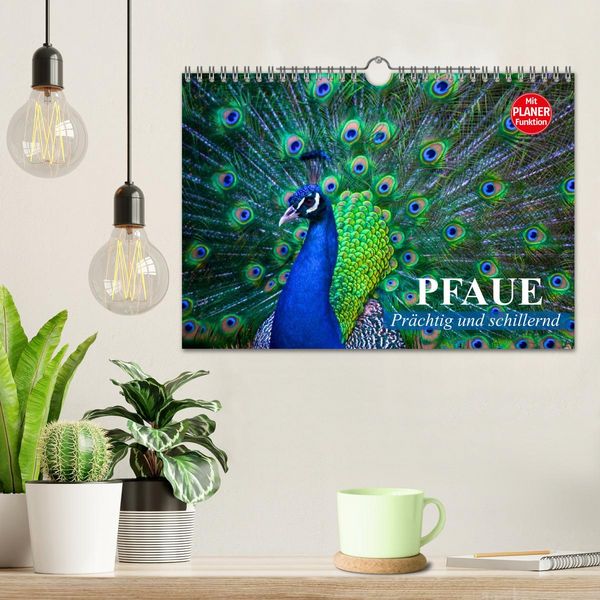 Produktbild: Pfaue. Pr&auml;chtig und schillernd (Wandkalender 2026 DIN A4 quer), CALVENDO Monatskalender