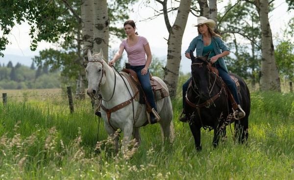 Produktbild: Heartland - Paradies f&uuml;r Pferde - Staffel 12 (Neuauflage) [4 DVDs]