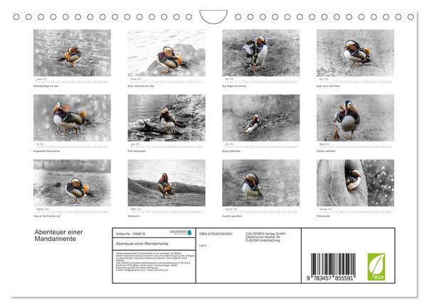 Produktbild: Abenteuer einer Mandarinente (Wandkalender 2026 DIN A4 quer), CALVENDO Monatskalender