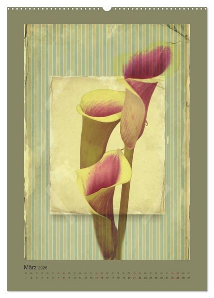 Produktbild: Vintage Style (hochwertiger Premium Wandkalender 2026 DIN A2 hoch), Kunstdruck in Hochglanz