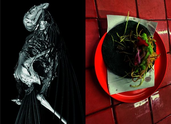 Produktbild: Sandra Knecht. Home Is a Foreign Place