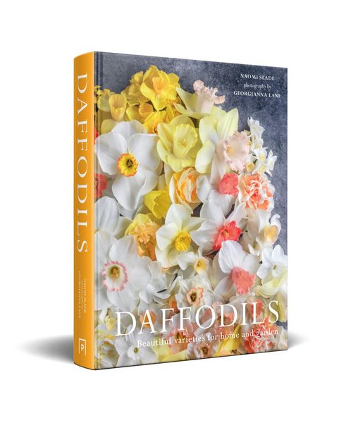 Produktbild: DAFFODILS HB